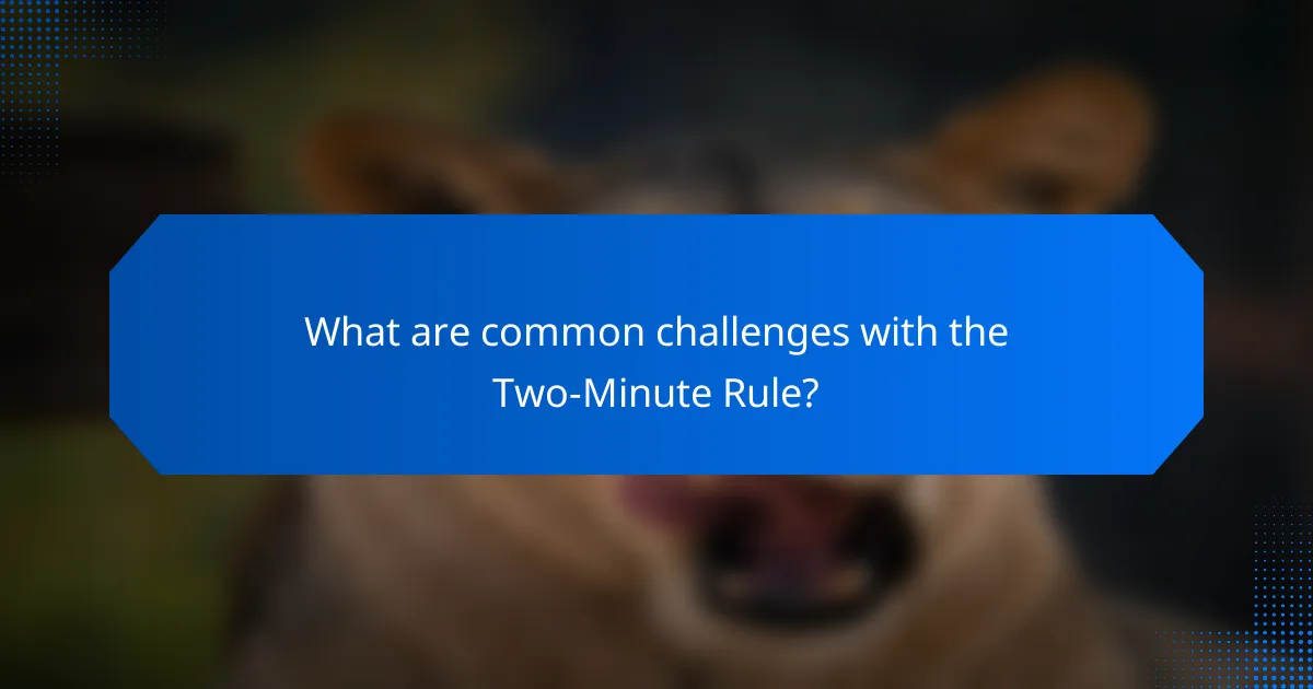 What are common challenges with the Two-Minute Rule?